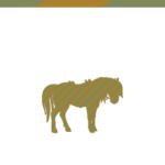 Equus paard