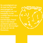 Inheemse pot